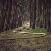 Paths