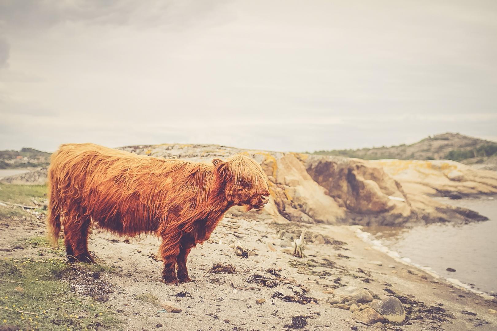 unsplash_52b5ec8515a34_1