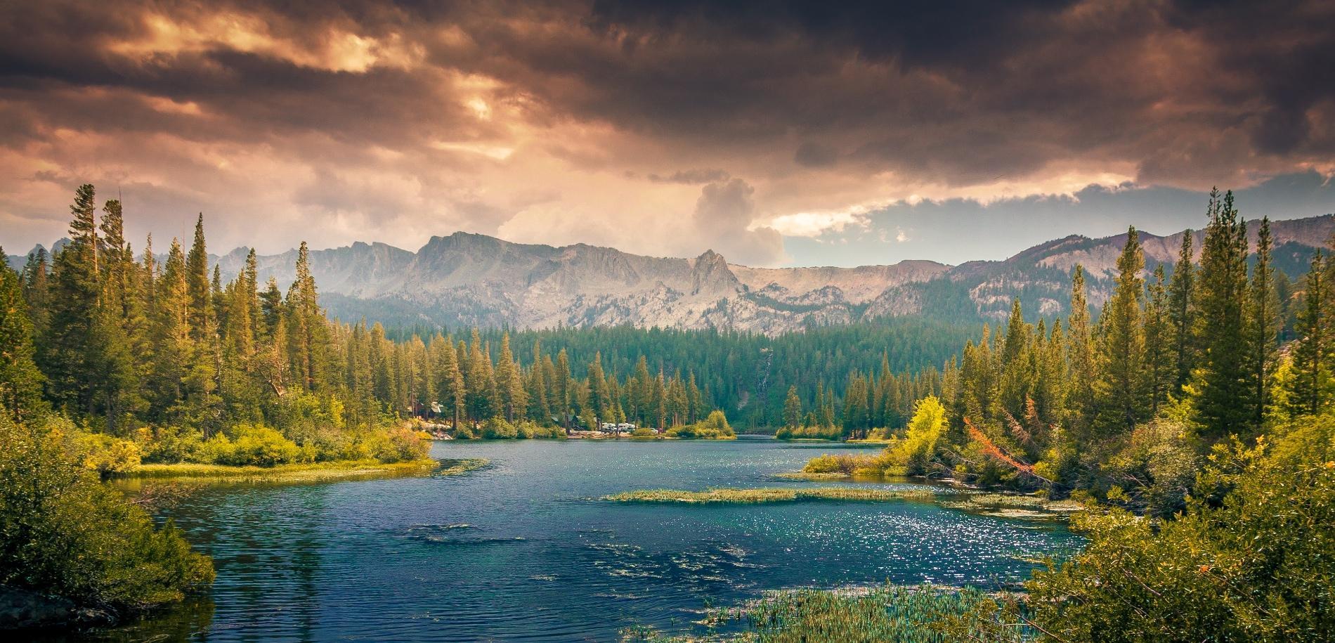 unsplash_52c2d2aad1576_1