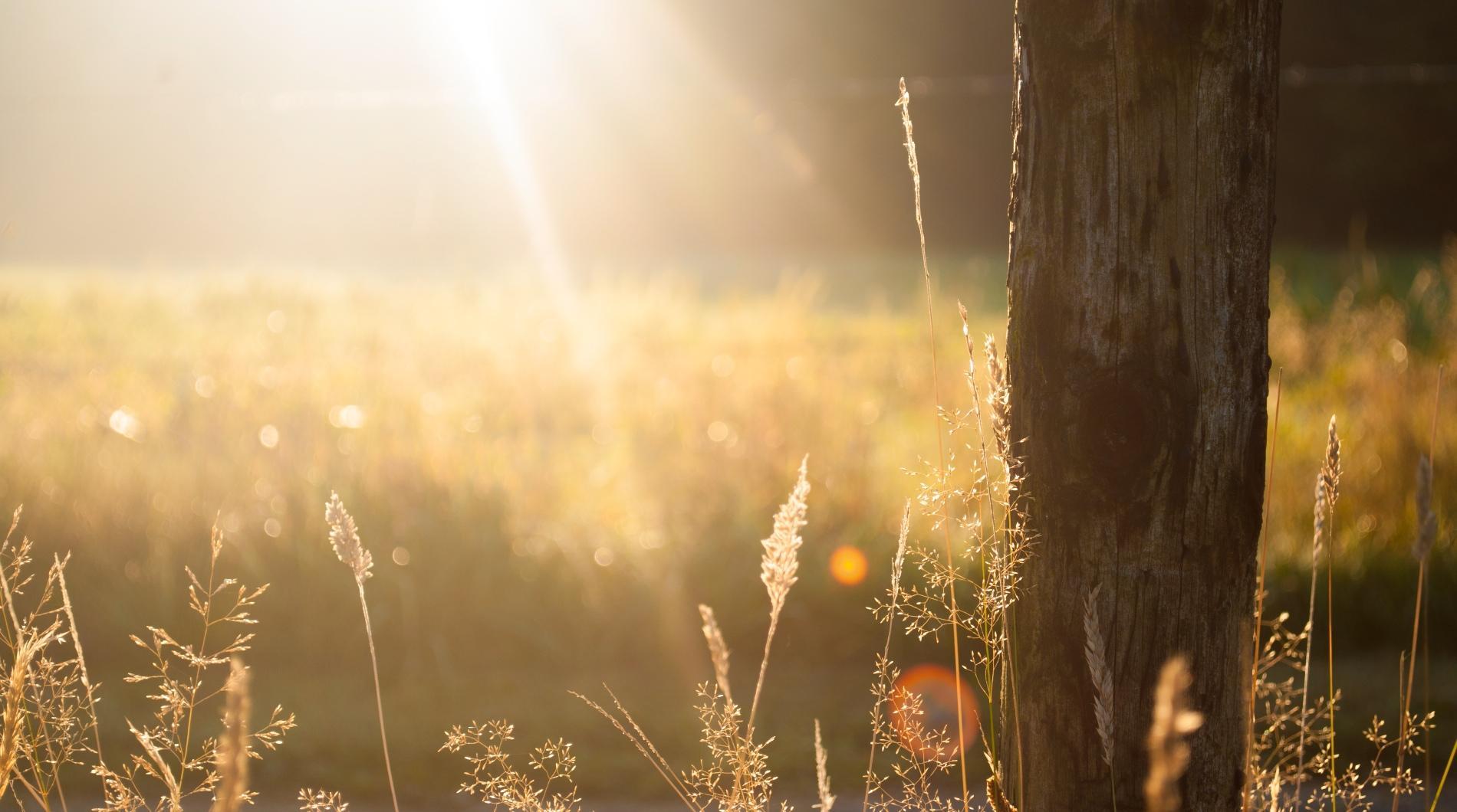 unsplash_522b53fb137bb_1