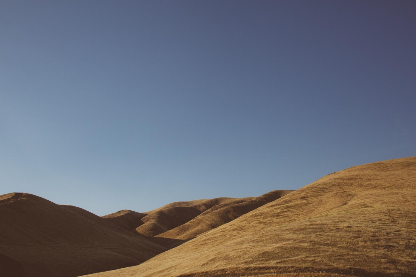 unsplash_526069a5a3f56_1