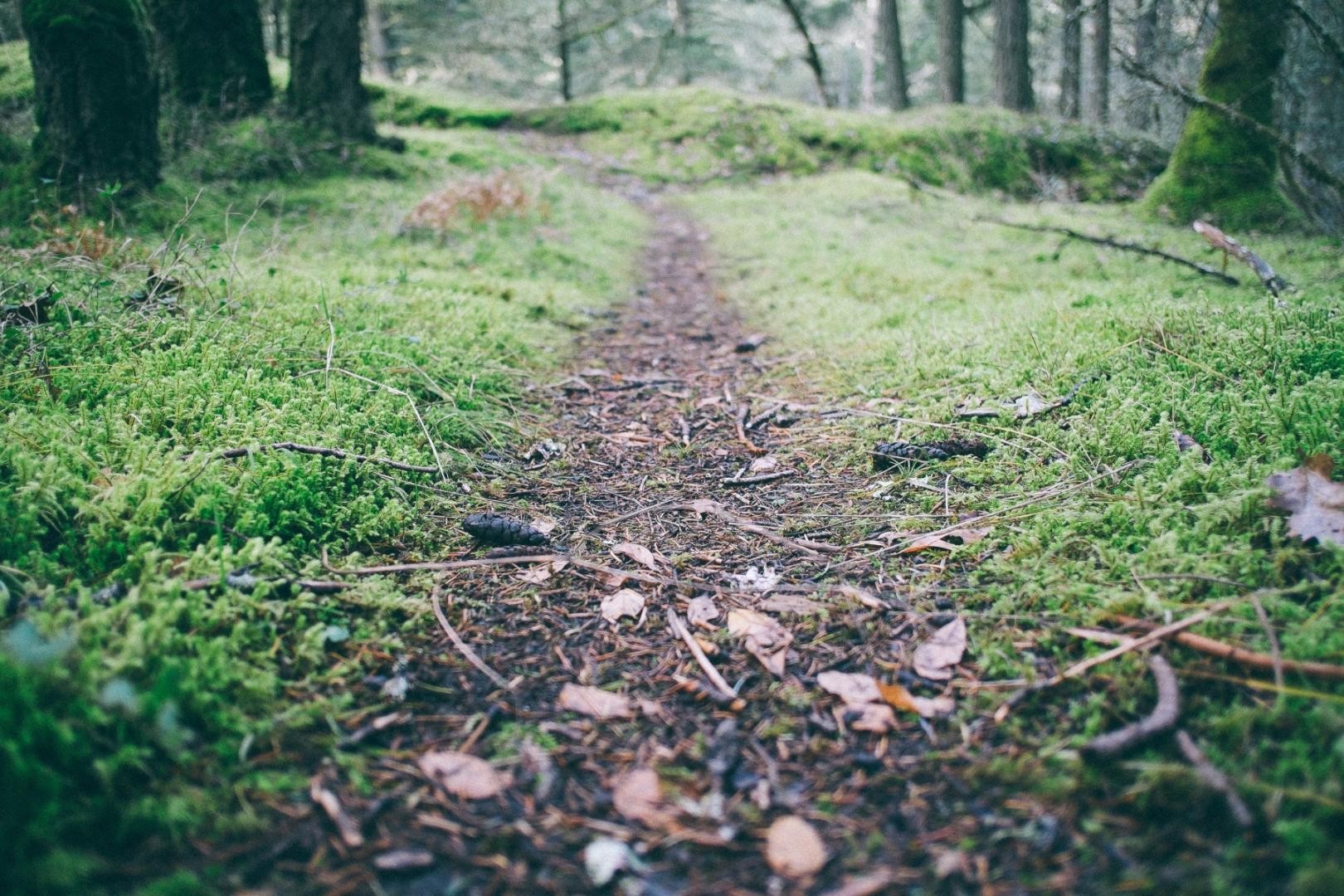 unsplash_52cb185a63c25_1